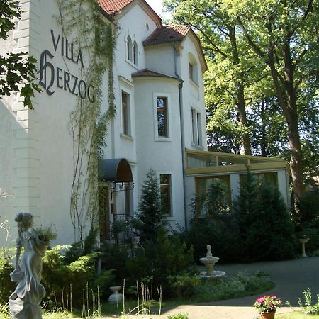 Hotel Villa Herzog Дрезден Екстериор снимка
