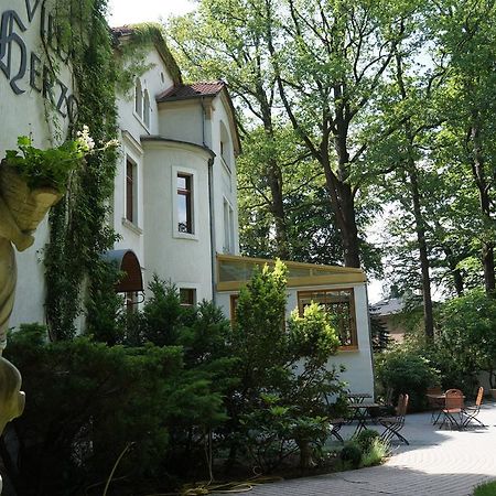 Hotel Villa Herzog Дрезден Екстериор снимка