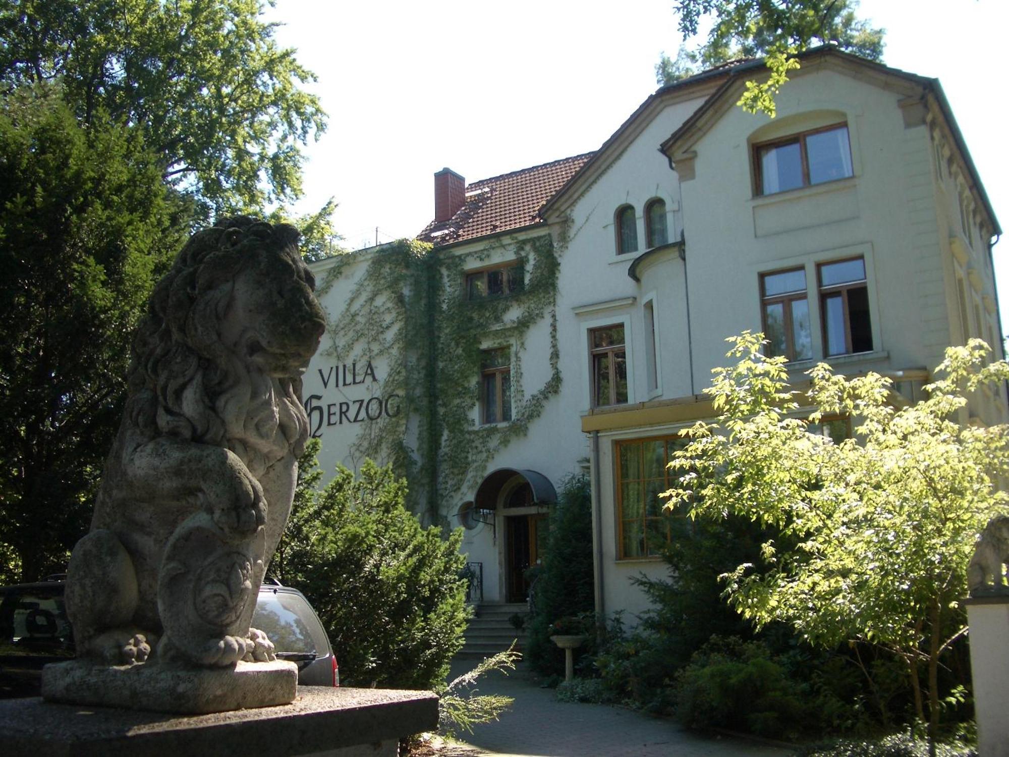 Hotel Villa Herzog Дрезден Екстериор снимка